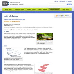 Genetics by the Numbers - Inside Life Science Series - National Institute of General Medical Sciences