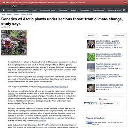 Genetics of Arctic plants under serious threat from climate change, study says