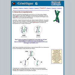 Genétique-6