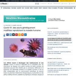 Covid-19 : des souris génétiquement modifiées reproduisent la maladie humaine – Réalités Biomédicales