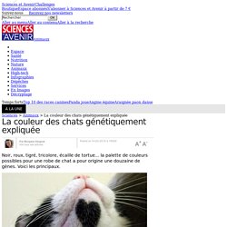 La couleur des chats génétiquement expliquée - Sciencesetavenir.fr