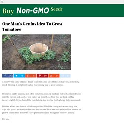 One Man’s Genius Idea To Grow Tomatoes