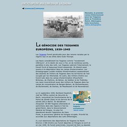 Le génocide des Tsiganes européens, 1939-1945
