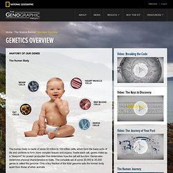 Genetics Overview - Science Behind the Genographic Project - National Geographic