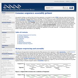 Genome sequence assembly primer
