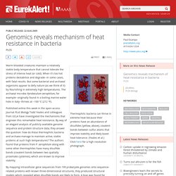 Genomics reveals mechanism of heat resistance in bacteria