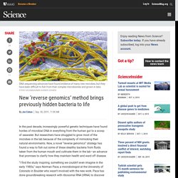 New ‘reverse genomics’ method brings previously hidden bacteria to life