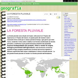 geo2C - LA FORESTA PLUVIALE