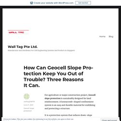 How Can Geocell Slope Protection Keep You Out of Trouble? Three Reasons It Can. – Wall Tag Pte Ltd.