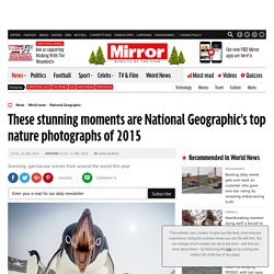 These stunning moments are National Geographic's top nature photographs of 2015