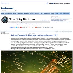 National Geographic Photography Contest Winners: 2011