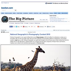 National Geographic's Photography Contest 2010 - The Big Picture