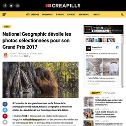 National Geographic dévoile les photos sélectionnées pour son Grand Prix 2017