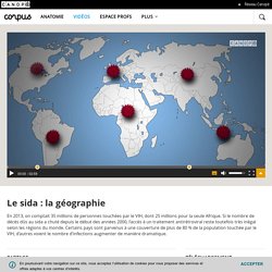 Le sida : la géographie - Corpus - réseau Canopé