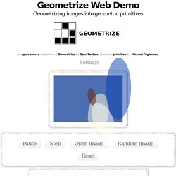 Geometrize Web Demo - geometrizing images into geometric primitives