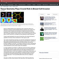 Tissue Geometry Plays Crucial Role in Breast Cell Invasion