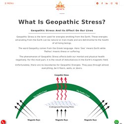 Geopathic Stress Vastu Consultant
