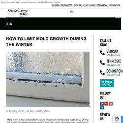 Limit Mold Growth During Winter in Georgia