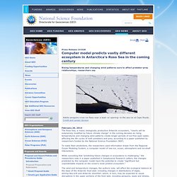 Geosciences (GEO) News - Computer model predicts vastly different ecosystem in Antarctica's Ross Sea in the coming century
