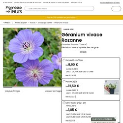 Géranium vivace Rozanne - Des tapis de fleurs bleues à cœur blanc, tout l'été