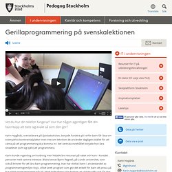 Gerillaprogrammering på svenskalektionen