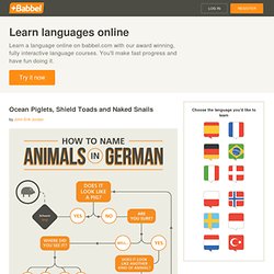 German compound words – Animal Names