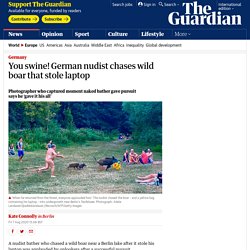 You swine! German nudist chases wild boar that stole laptop
