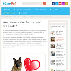 Are german shepherds good with cats? - WewPet