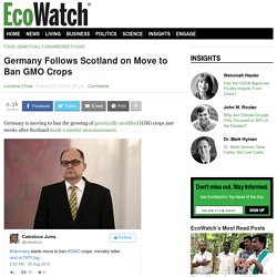 Germany Follows Scotland on Move to Ban GMO Crops