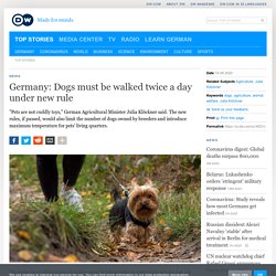 Germany: Dogs must be walked twice a day under new rule