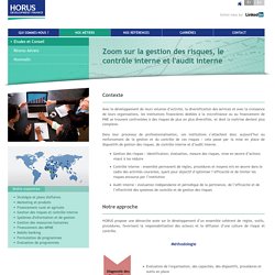 Zoom sur la gestion des risques, le contrôle interne et l'audit interne - HORUS Development Finance