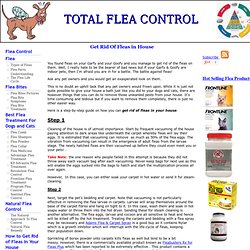 Get rid of fleas in house