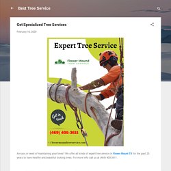 Get Specialized Tree Services