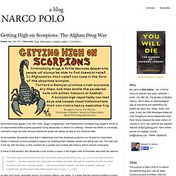 Getting High on Scorpions: The Afghan Drug War