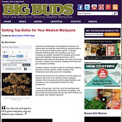 Getting Top Dollar for Your Medical Marijuana