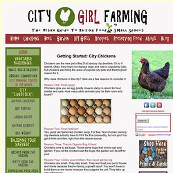 Getting Started With Chickens