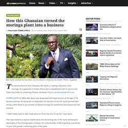 How this Ghanaian turned the moringa plant into a business