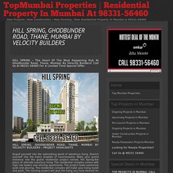 Hill Spring Project Brochure