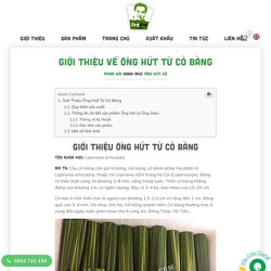 Giới Thiệu Về Ống Hút Từ Cỏ Bàng