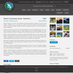 Deserts of the United Arab Emirate Tour