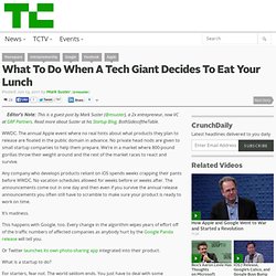 What To Do When A Tech Giant Decides To Eat Your Lunch