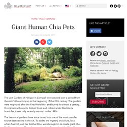 Giant Human Chia Pets