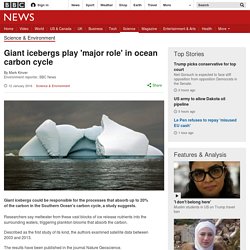 Giant icebergs play 'major role' in ocean carbon cycle