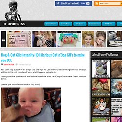 Dog & Cat GIFs Insanity: 10 Hilarious Cat’n’Dog GIFs to make you LOL