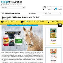 Cyber Monday - Gifting your beloved horse the best products