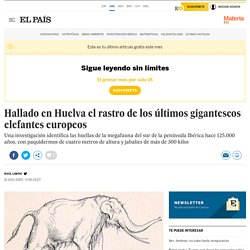 Hallado en Huelva el rastro de los últimos gigantescos elefantes europeos