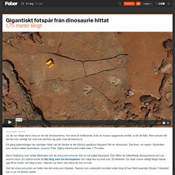 Gigantiskt fotspår från dinosaurie hittat. 1,75 meter långt