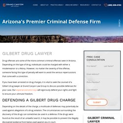 Combating Drug-Related Charges