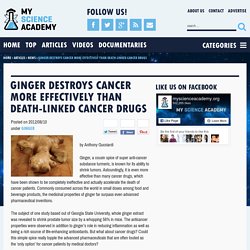 Ginger Destroys Cancer More Effectively than Death-Linked Cancer Drugs