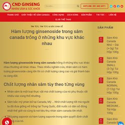 Hàm lượng ginsenoside trong sâm canada trồng ở khu vực khác nhau